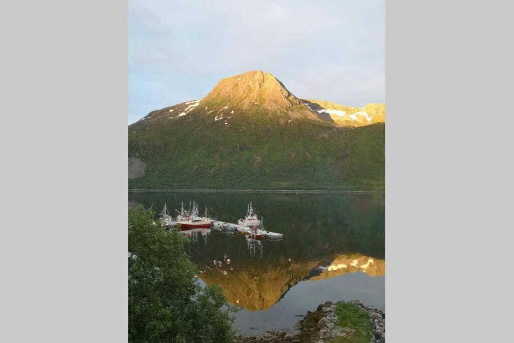 Waterfront Senja 3 Apartment Torsken Exterior photo