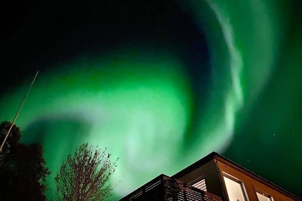 Waterfront Senja 3 Apartment Torsken Exterior photo